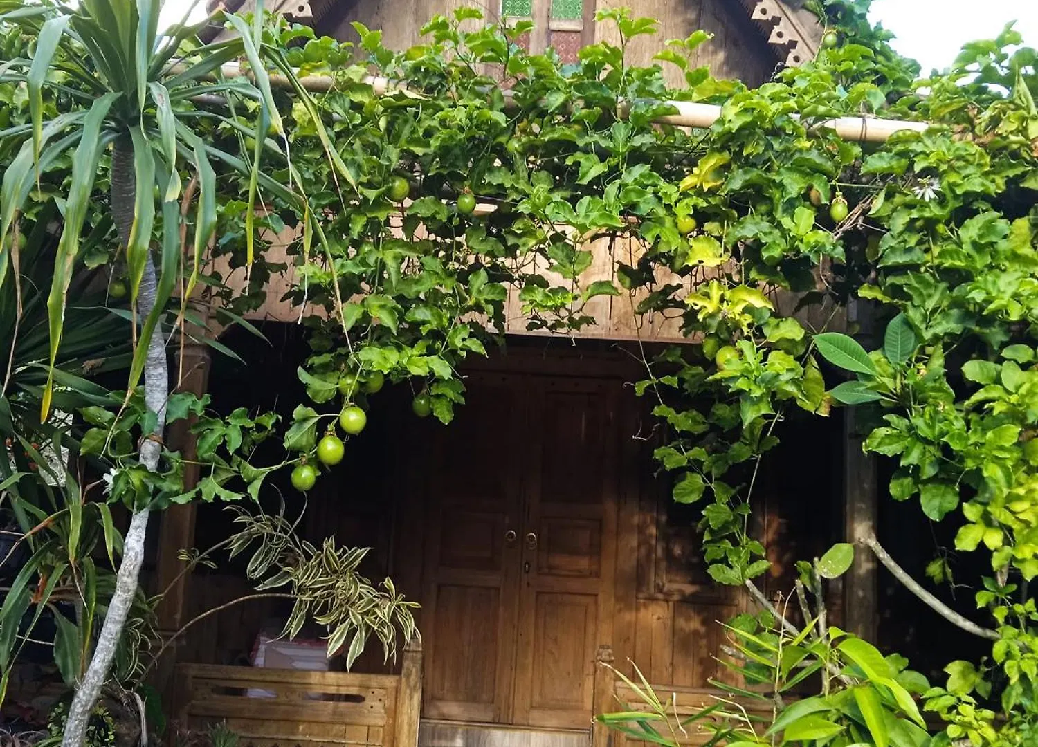 Kayu Tua Villa Uluwatu  Guest house Uluwatu (Bali)